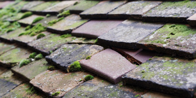 Eastfield roof repair costs